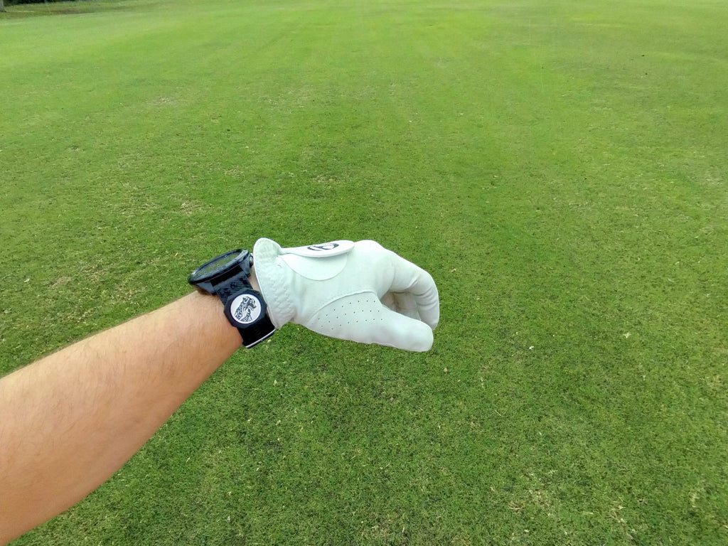 Seeker Ball Marker